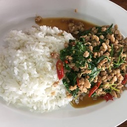 ข้าวราดกระเพราหมูสับ