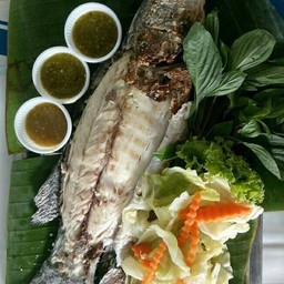 ปลากระผงเผาเกลือ