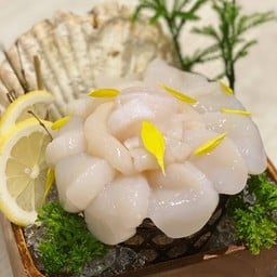 หอยเชลล์ญี่ปุ่น 12 ชิ้น