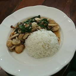 ผัดเห็ดรวมใบโหรพาราดข้าวพิเศษ