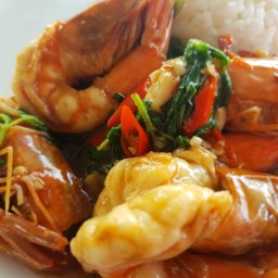 กะเพรากุ้งราดข้าว