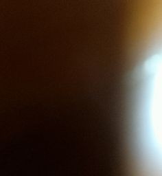 หมกอินเดีย