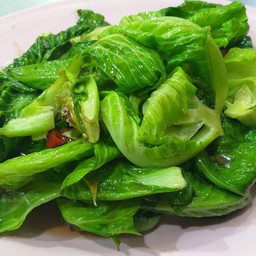 แขนงผัดน้ำมันหอย