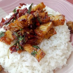 เจ๊ยุ้ยอาหารป่าแอนด์ตามสั่ง