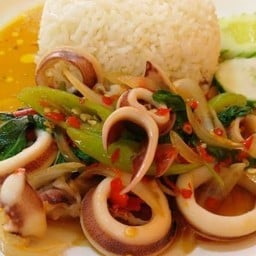 ข้าวกะเพราปลาหมึก