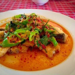 ปลาคังฉู่ฉี่