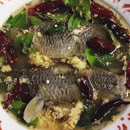 ปลาหมอต้มโคล้ง(ไม่มีไข่ค่ะ)1ตัว