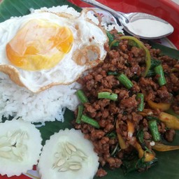 BOOM BOOM กะเพราถาด