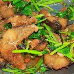 ปลาช่อนทอดผัดคื่นฉ่าย