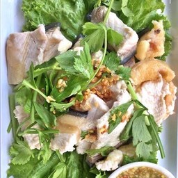 ปลาบึกลวกจิ้ม