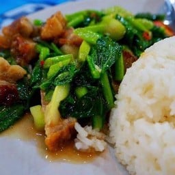 ข้าวคะน้าหมูกรอบ