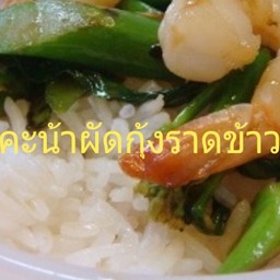 คะน้ากุ้งราดข้าว