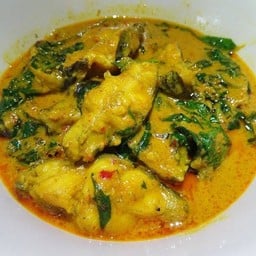 แกงปลาดุกใบยี่หร่า