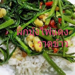 ผักบุ้งไฟแดงราดข้าว
