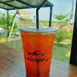 The Escape Cafe’