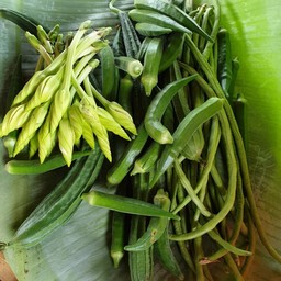 ผักปลอดสาร