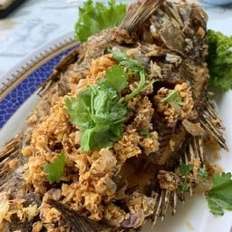 นพดลฟิชชิ่ง