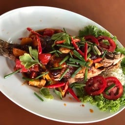 ปลามโนราห์ 