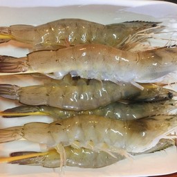 กุ้งขาว