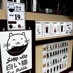 ร้านชานมไข่มุก shiro neko สาขาไวท์เฮาส์