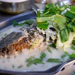 ปลาช่อนโฮกฮือ