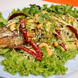 ปลาช่อนเมาเครื่อง