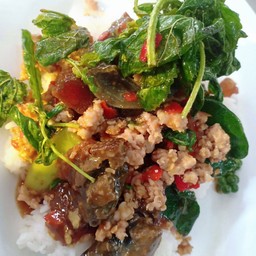 กะเพราหมูสับไข่เยี่ยวม้า