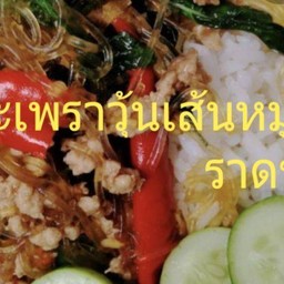กะเพราวุ้นเส้นหมูสับราดข้าว