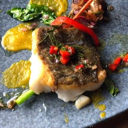 Atlantic Cod 