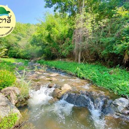 สัมผัสธารน้ำ 180 องศา มีลำธารตลอดเวลา