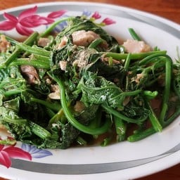 ร้านอาหารร่มโพธิ์