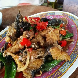 ผัดฉ่าปลาดุก