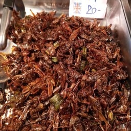 ตั๊กแตนทอด