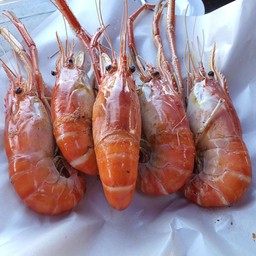 กุ้งเผา