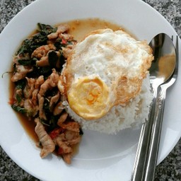 ผัดกระเพราราดข้าว
