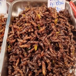 แมงกะชอนทอด