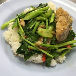 ข้าวราดผัดคะน้าปลาเค็ม