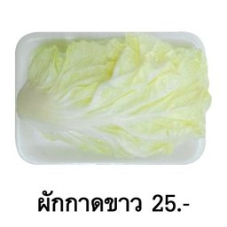 ผักกาดขาว