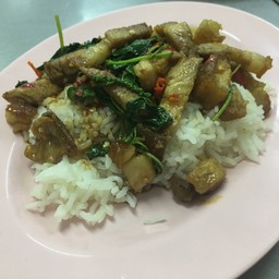 ข้าวราดผัดกะเพราหมูกรอบ