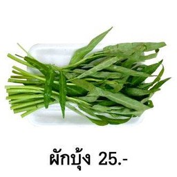 ผักบุ้ง