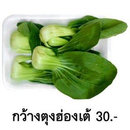 กวางตุ้งฮ่องเต้
