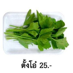 ตั้งโอ๋