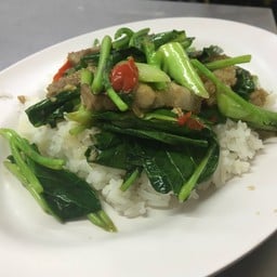 ข้าวราดผัดคะน้าหมูกรอบ