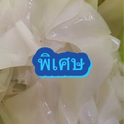 ใหญ่เนื้อตก พิเศษ