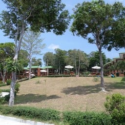 เดินชิลๆกันไป