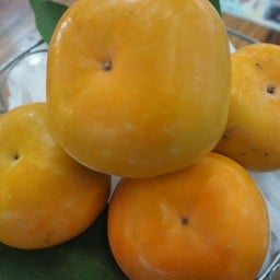 ลูกพลับนิวซีแลนด์ 4 ลูก 1 แพ็ค