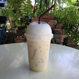 ไวท์มอลต์นมสดเย็น