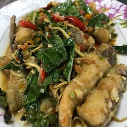 เนื้อปลากะพงผัดฉ่า