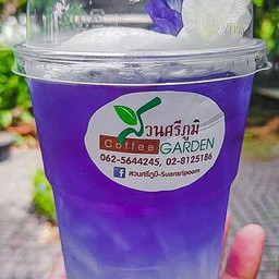 อัญชัญมะพร้าวเย็น