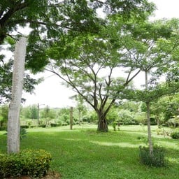 บ้านสวนสุขภาพป่าละอู
